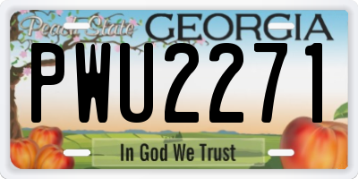 GA license plate PWU2271