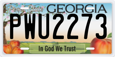 GA license plate PWU2273
