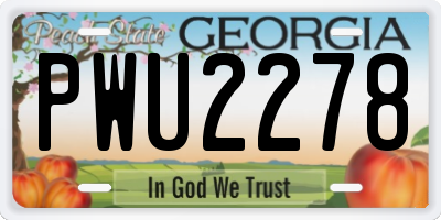 GA license plate PWU2278