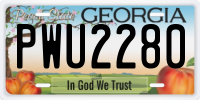GA license plate PWU2280