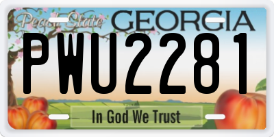 GA license plate PWU2281