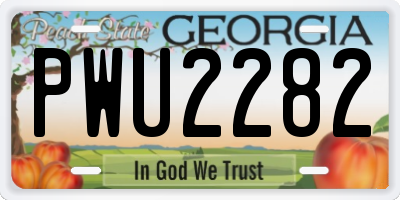 GA license plate PWU2282
