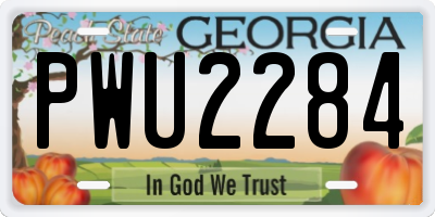 GA license plate PWU2284