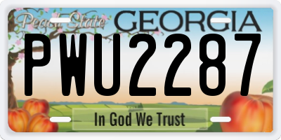 GA license plate PWU2287