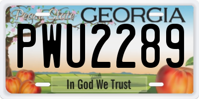 GA license plate PWU2289