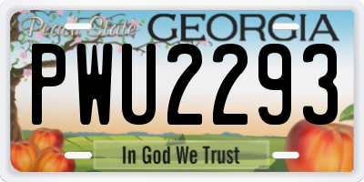 GA license plate PWU2293