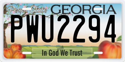 GA license plate PWU2294