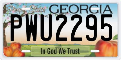 GA license plate PWU2295