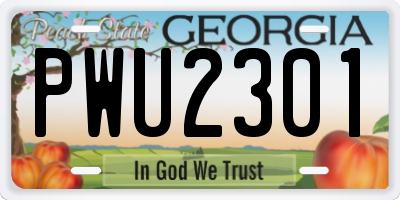 GA license plate PWU2301