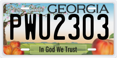GA license plate PWU2303
