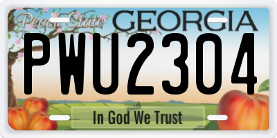 GA license plate PWU2304