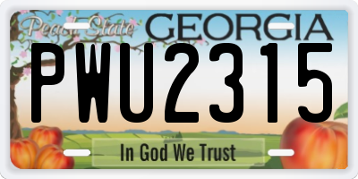 GA license plate PWU2315