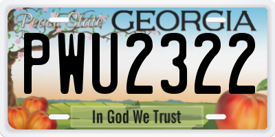 GA license plate PWU2322