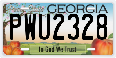 GA license plate PWU2328