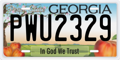 GA license plate PWU2329