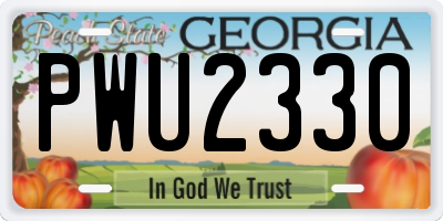 GA license plate PWU2330