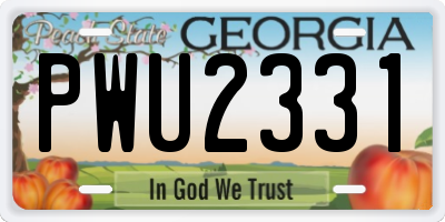 GA license plate PWU2331