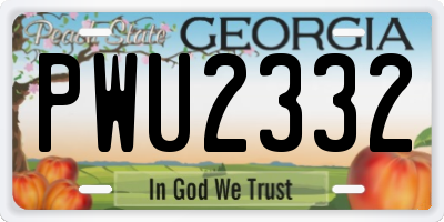 GA license plate PWU2332