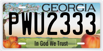 GA license plate PWU2333