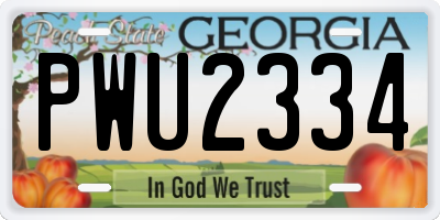 GA license plate PWU2334