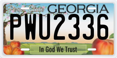 GA license plate PWU2336