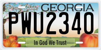 GA license plate PWU2340