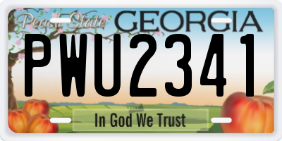 GA license plate PWU2341