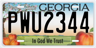 GA license plate PWU2344