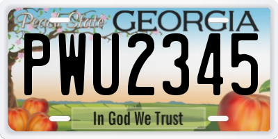 GA license plate PWU2345