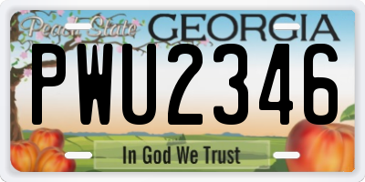 GA license plate PWU2346