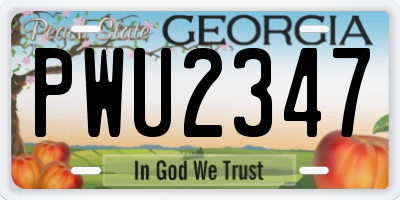 GA license plate PWU2347
