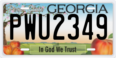 GA license plate PWU2349