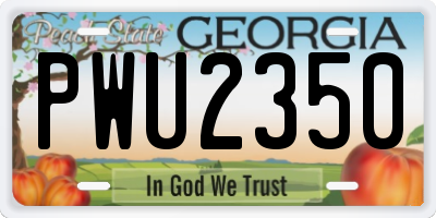 GA license plate PWU2350