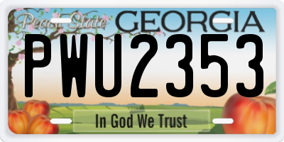 GA license plate PWU2353