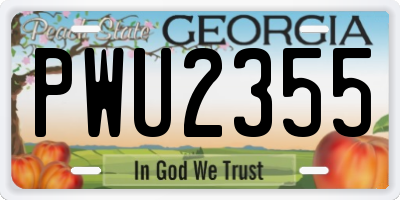 GA license plate PWU2355