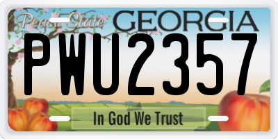 GA license plate PWU2357