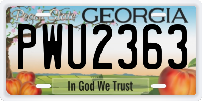 GA license plate PWU2363