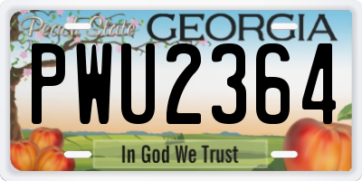 GA license plate PWU2364