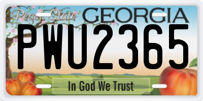 GA license plate PWU2365
