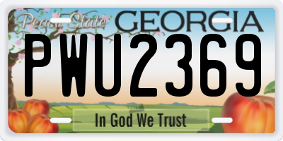 GA license plate PWU2369