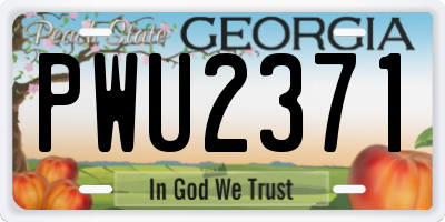 GA license plate PWU2371