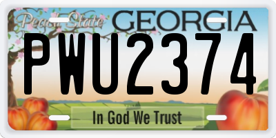 GA license plate PWU2374