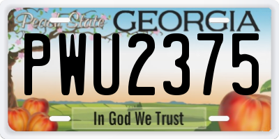 GA license plate PWU2375