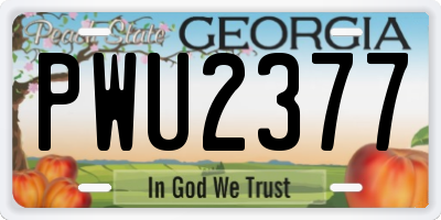 GA license plate PWU2377