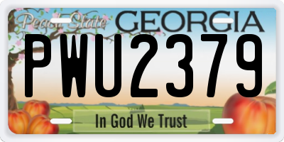 GA license plate PWU2379