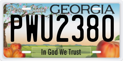 GA license plate PWU2380