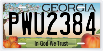 GA license plate PWU2384