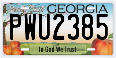 GA license plate PWU2385