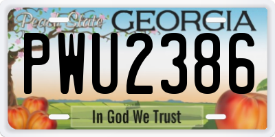 GA license plate PWU2386