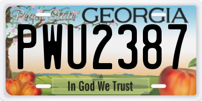 GA license plate PWU2387